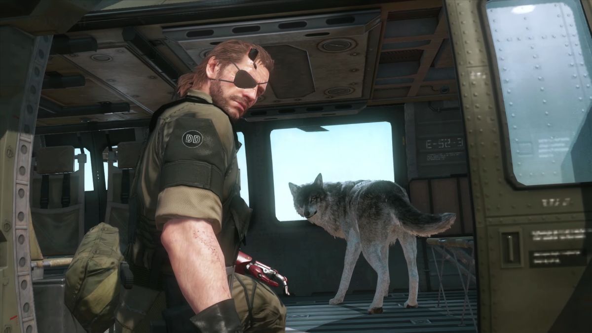 Source asset assets/eng-fox.jpg